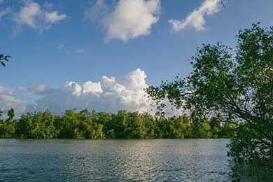 库里推广篮球文化走进社区，库里篮球比赛解说